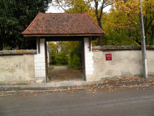  Maison des Aînés, Les marronniers